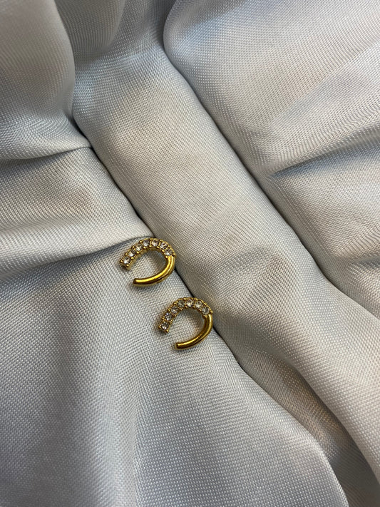 Fancy small Earing