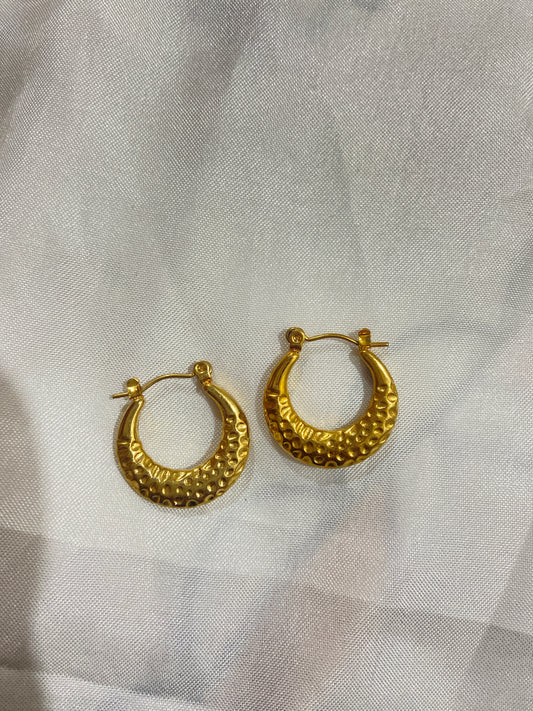 Hoops Earing
