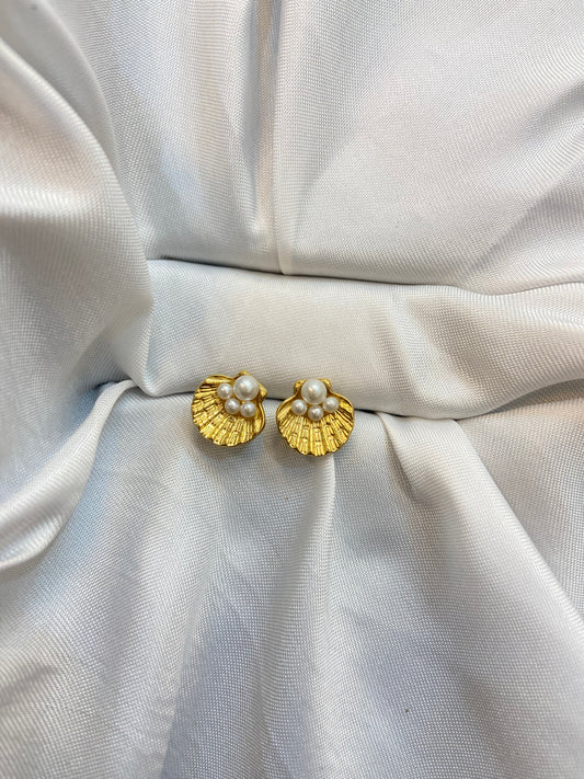 Sea shell Earing